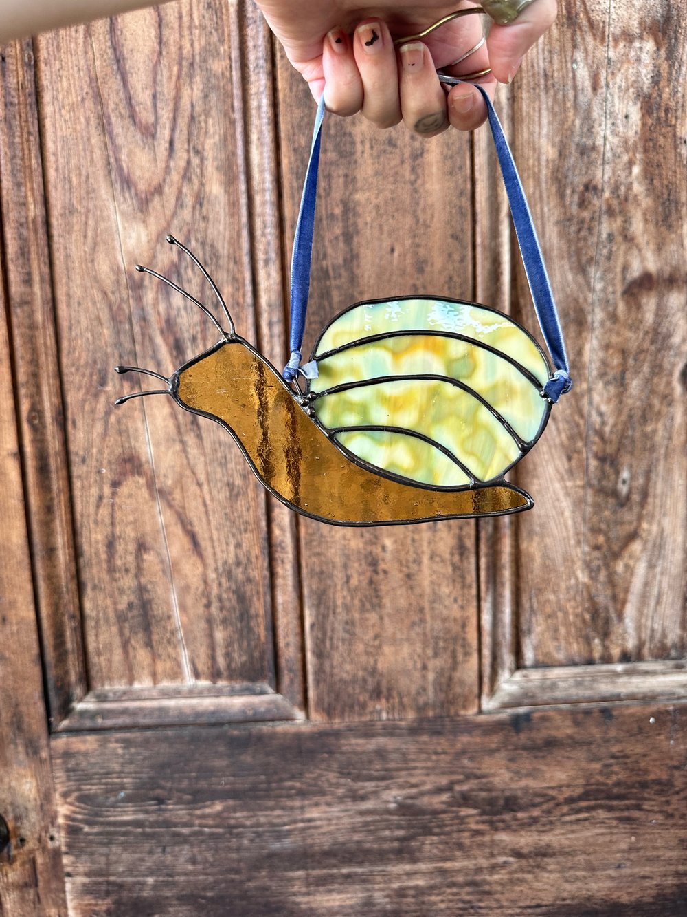Image of Mottled Snail