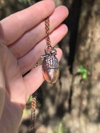 Image 3 of Electroformed Swamp Chestnut Oak acorn necklace 02