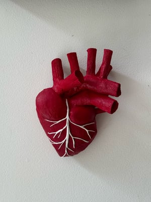 Image of Anatomical Heart 