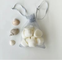 Image 2 of 10 x Seashell Soy Wax Scented Melts 🐚 