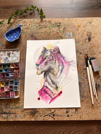 Image 1 of Roi Tigre 