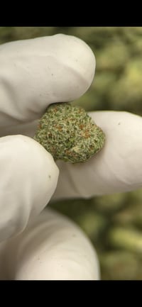 Image 3 of Royal Cherry Diesel (100% THCa Hemp)