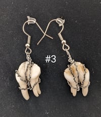 Image 3 of Chunky Deer Molar Earrings
