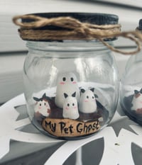 Image 2 of Crazy Cat Ghost Jar