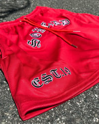 Image 3 of Red Fundamental shorts   