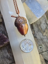 Image 2 of Electroformed Swamp Chestnut Oak acorn necklace 01