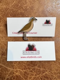 IBRCE Cream-coloured Courser Pin Badge