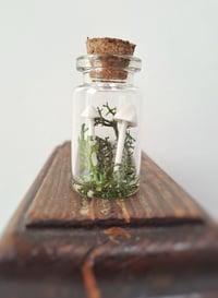 Image 2 of Tiny Porcelain Mushroom in a Jar