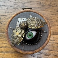 Image 4 of Beetle (a, 3.5 inches)