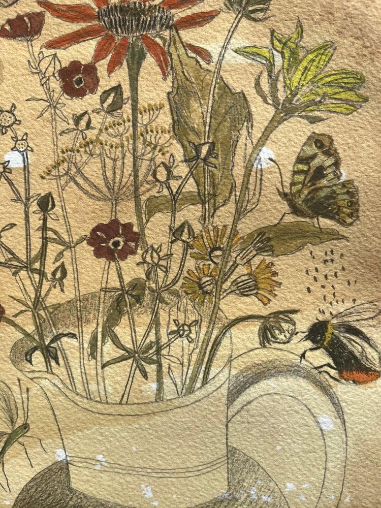 Image of Late summer flowers 