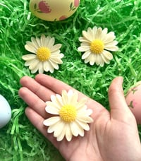 Image 2 of Blooming marvellous daisies