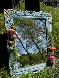 Image 1 of Amanita mirror