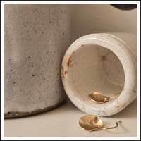 Image 3 of Shimmer