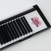 Image 1 of Easy Fan Lashes - Matt & Dark (CC Curl)