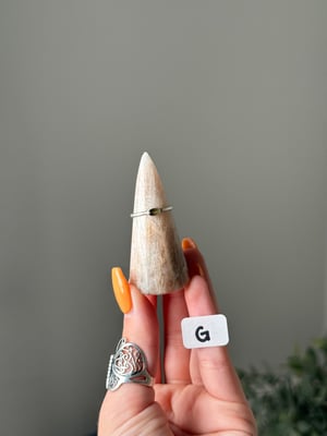 MOONSTONE WITH SUNSTONE RING HOLDERS