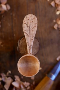 Image 1 of ~ Coffee Scoop 