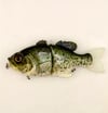 Blue Collar Gill Glide Only Crappie BNA Customs Paint