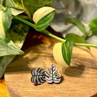 Image 5 of Wood Monstera Earrings - various colors 