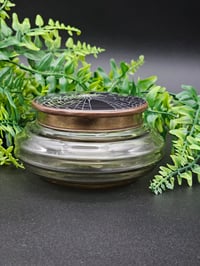 Image 2 of Vintage decorative glass Jar with  Real Preserved Web A