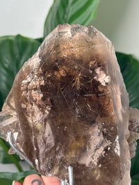 Image 3 of XL SMOKEY RUTILE IN QUARTZ CLUSTER ON STAND A