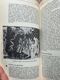 Image 12 of Guide du Val de Loire mystérieux, les guides noirs, Tchou, 1980