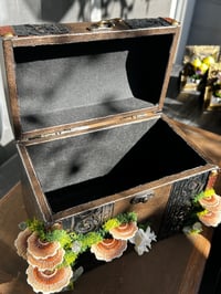 Image 4 of Wooden jewelry box led