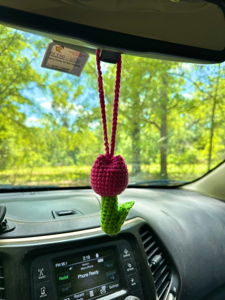 Image of tulip car hanging