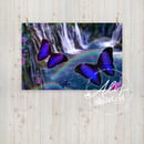 Image 5 of Barney Falls Butterfly Poster