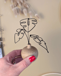 Image 1 of Mini monstera - vase bois