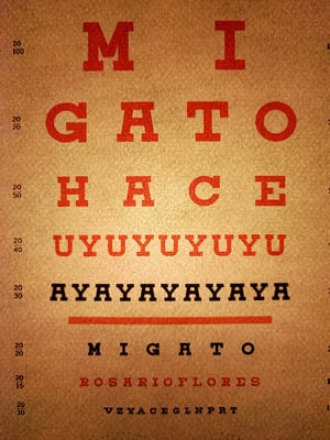 Image of Agudeza visual. Rosario Flores.