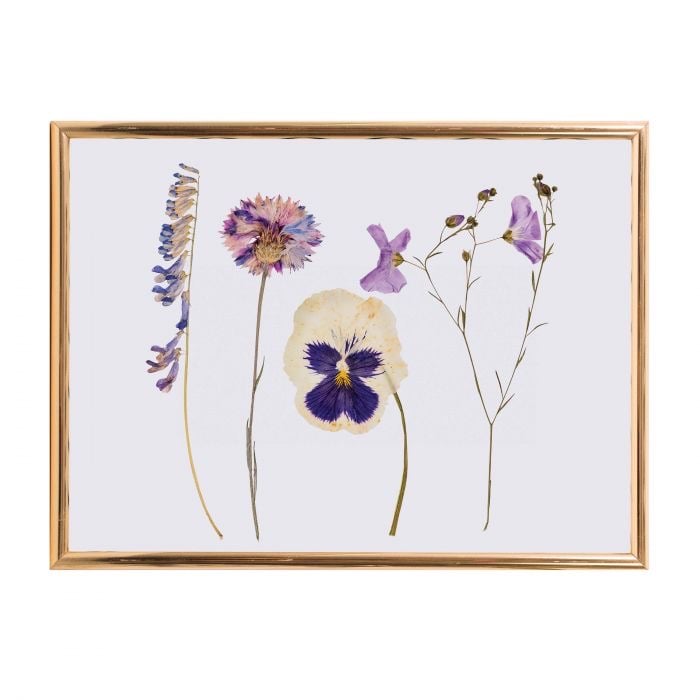 Classic Flower Press Image 2