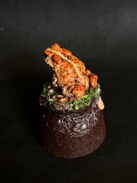 Image 3 of Toad Dome