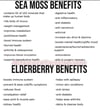 Elderberry Ginger Burdock Infused Sea Moss Gel 