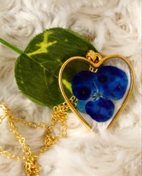 Image 1 of Blue Heart