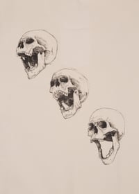 Image 3 of 3 Skull Unisex Sand Back Print Sweat (Organic)