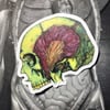 Skull Anatomy Sticker 