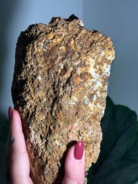 Image 9 of XL PINK CHALCEDONY GEODE -MOROCCO- A