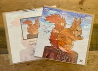 Red Squirrel Card