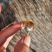 Image 2 of Citrine Sun, US 9