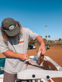 Image 3 of Coral Trout Tee