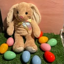 Image 3 of Rainbow Bunny