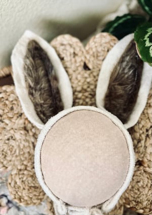 Image of Cottontail Bunny