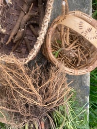 Image 3 of ELIXIR DETOX