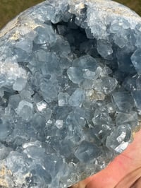 Image 10 of Celestite Cluster #1059