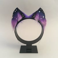 Image 1 of Night Sky Kitten. 