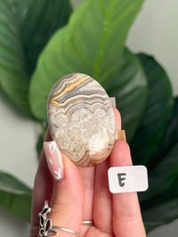 Image 9 of MEXICAN LACE AGATE PALM STONES