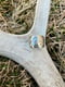 Image of Spring Ring