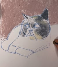 Image of CATS Double drawing workshop