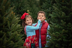 Image of Christmas Tree Sessions 