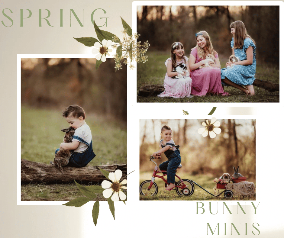 Image of Spring  Bunny Minis